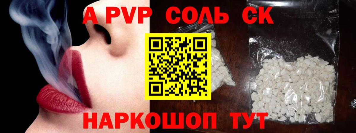 A PVP СК КРИС Новозыбков