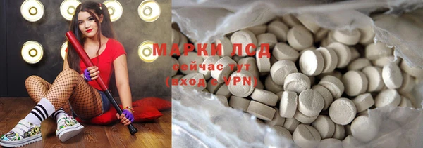 прущие грибы Алексеевка