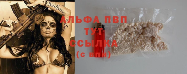 прущие грибы Алзамай