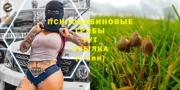 прущие грибы Алзамай