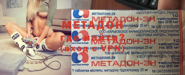 прущие грибы Алзамай