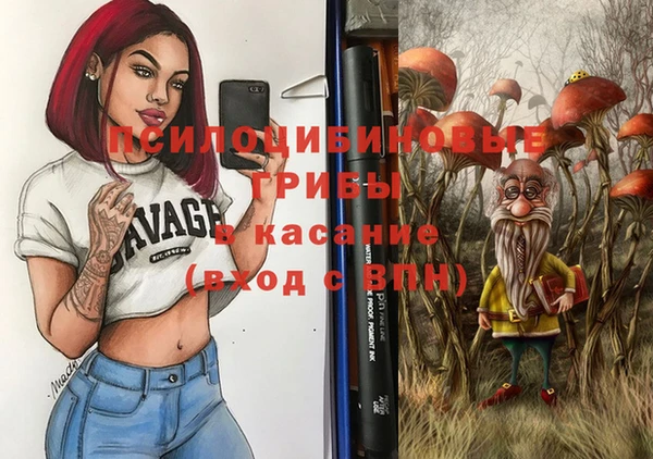 прущие грибы Алексеевка