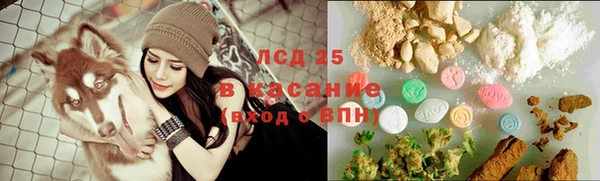 прущие грибы Алзамай