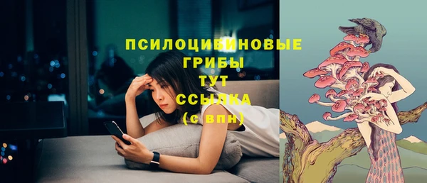 прущие грибы Алексеевка