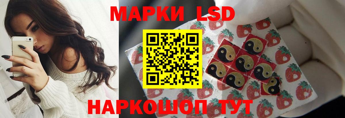 ОМГ ОМГ ТОР  ЛСД экстази ecstasy  Новозыбков  Вход с VPN  ЛСД экстази кислота 