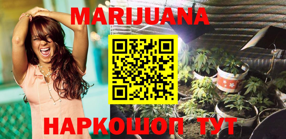 Шишки марихуана семена Новозыбков